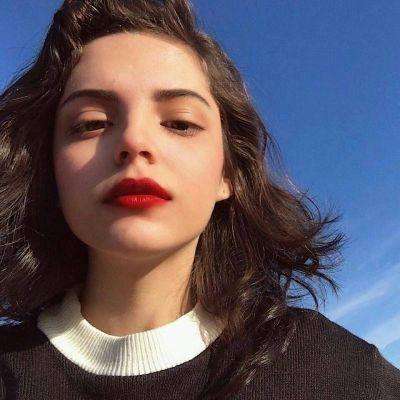 真人百家家乐网站截图