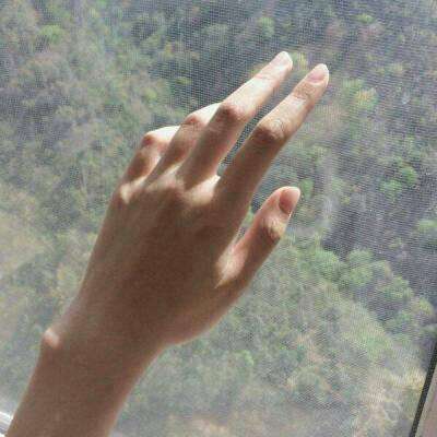 香港2023正版免费资料