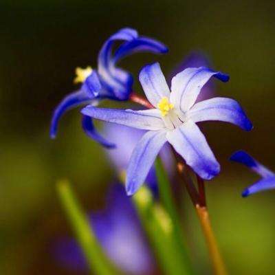 安博app官方网站