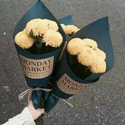 im电竞官方官网手机app下载