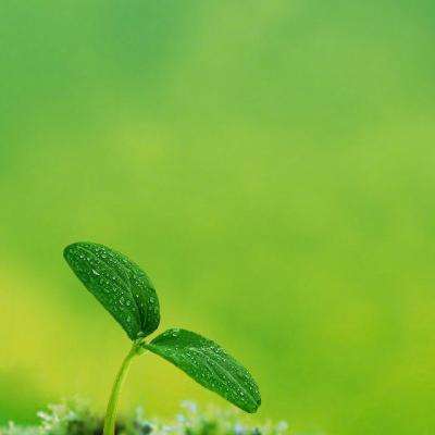 乐鱼app官方下载入口