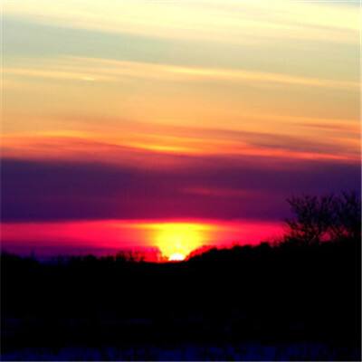 BOB体育综合官方APP下载8