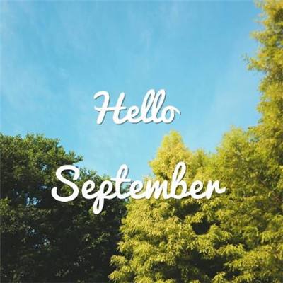 竞彩足球app截图