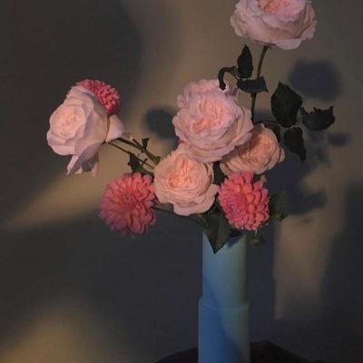 金沙集团186cc成色购买渠道