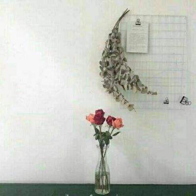 开云APP官方下载