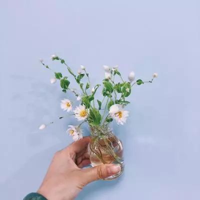 金沙集团186cc成色购买渠道