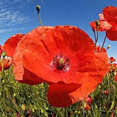 金沙乐娱场app下载