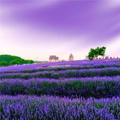 爱游戏APP·官方登录入口(ayx)手机app下载